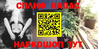 индика Кулебаки