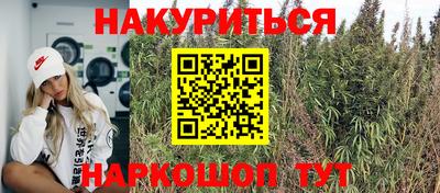 индика Кулебаки