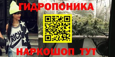 индика Кулебаки