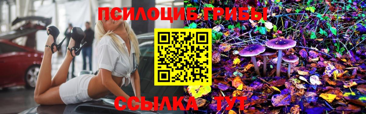Псилоцибиновые грибы ЛСД Жигулёвск