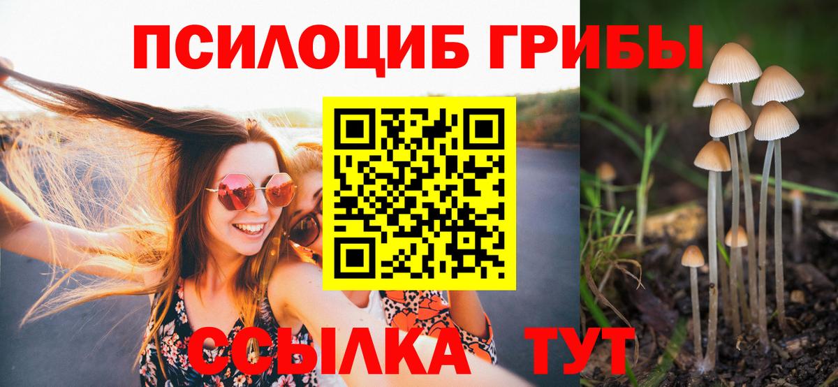 Галлюциногенные грибы Cubensis  Вход с VPN  Жигулёвск  Псилоцибиновые грибы MAGIC MUSHROOMS 